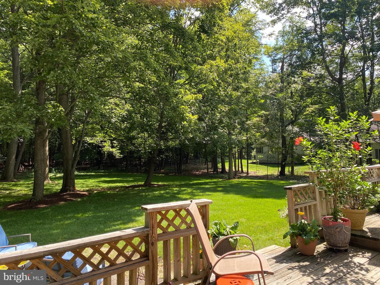 111 Wildernest Lane photo 51
