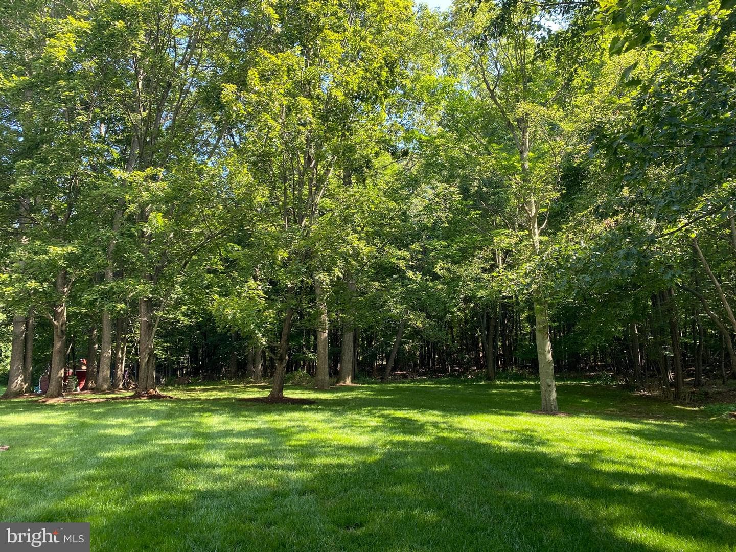 111 Wildernest Lane photo 54