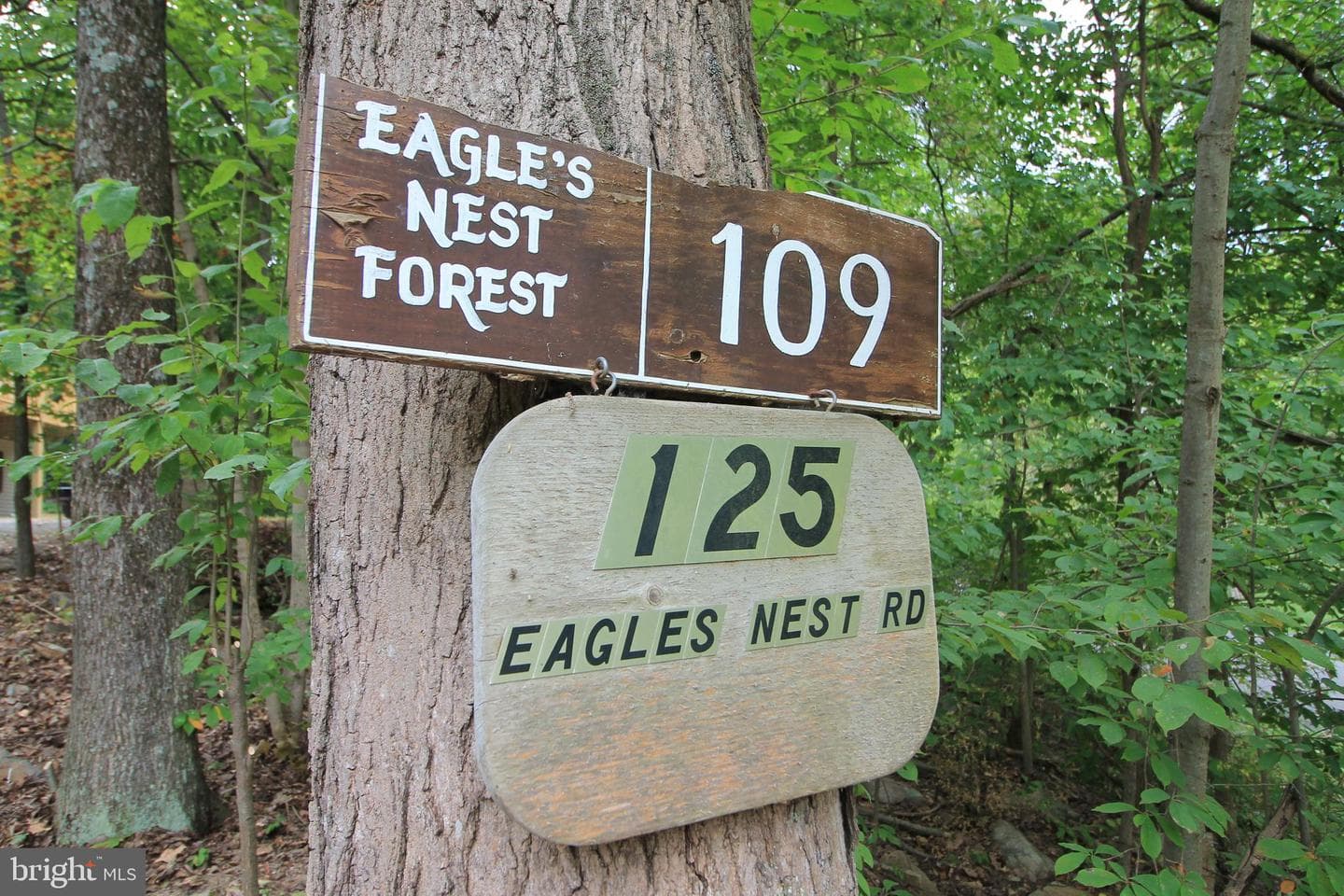 125 Eagles Nest Road photo 27