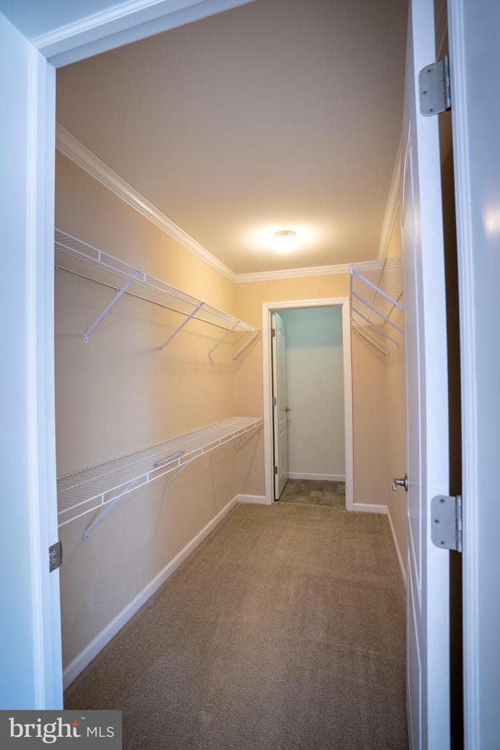 290 Timberwood Trail photo 25