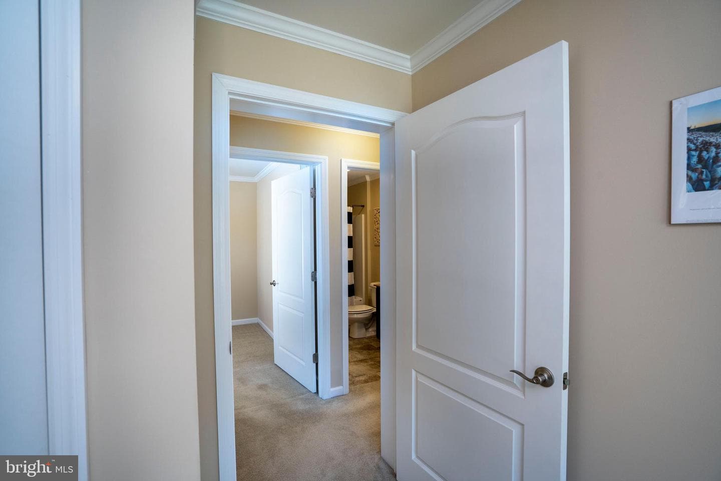 290 Timberwood Trail photo 33