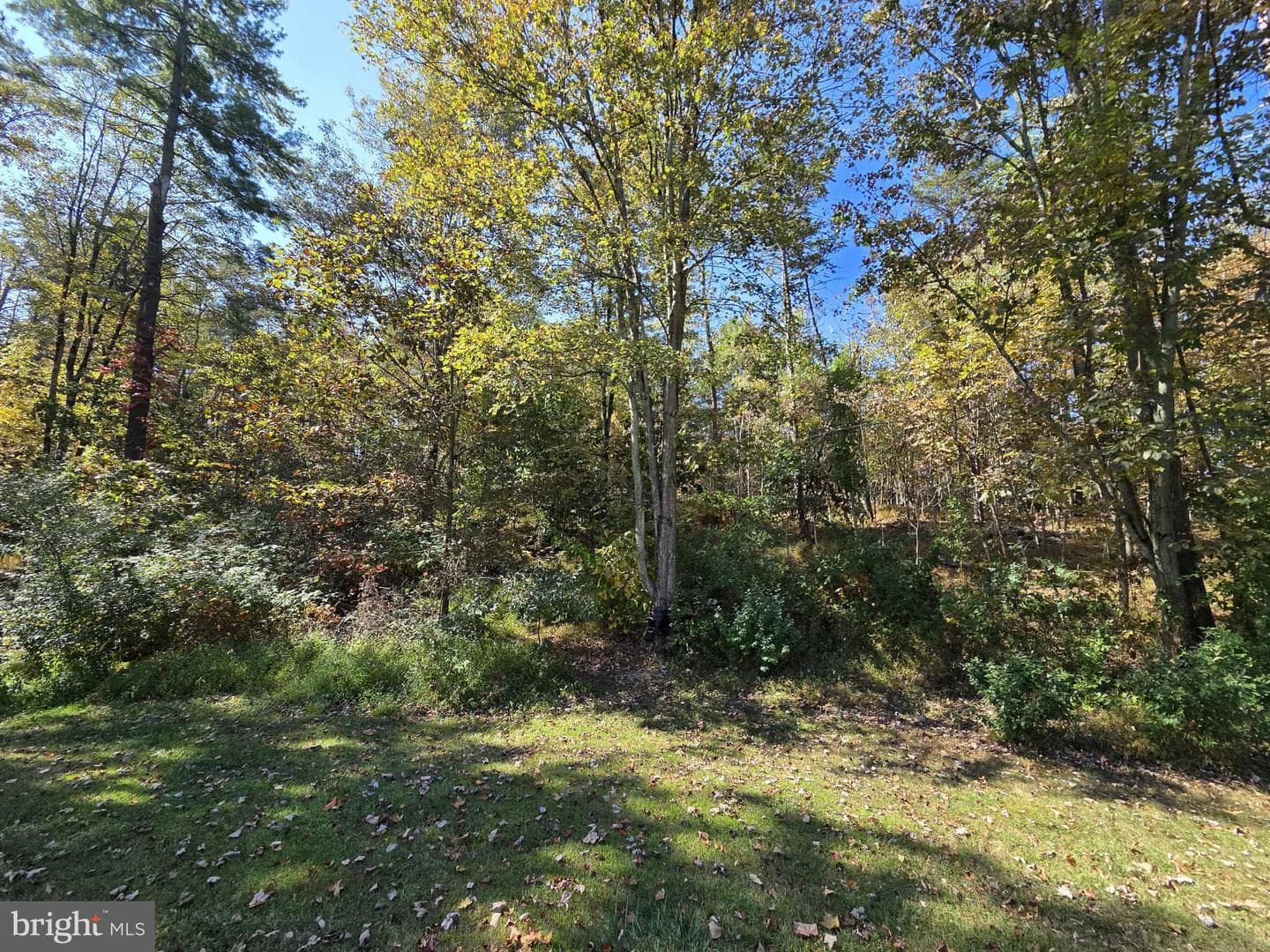 198 N Hunter Run Road photo 75