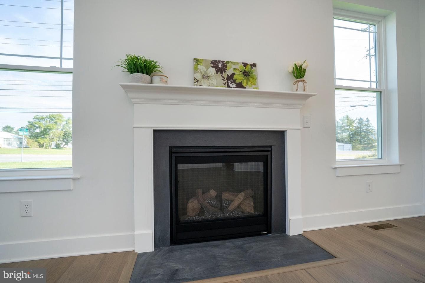 178 Apple View Drive photo 10