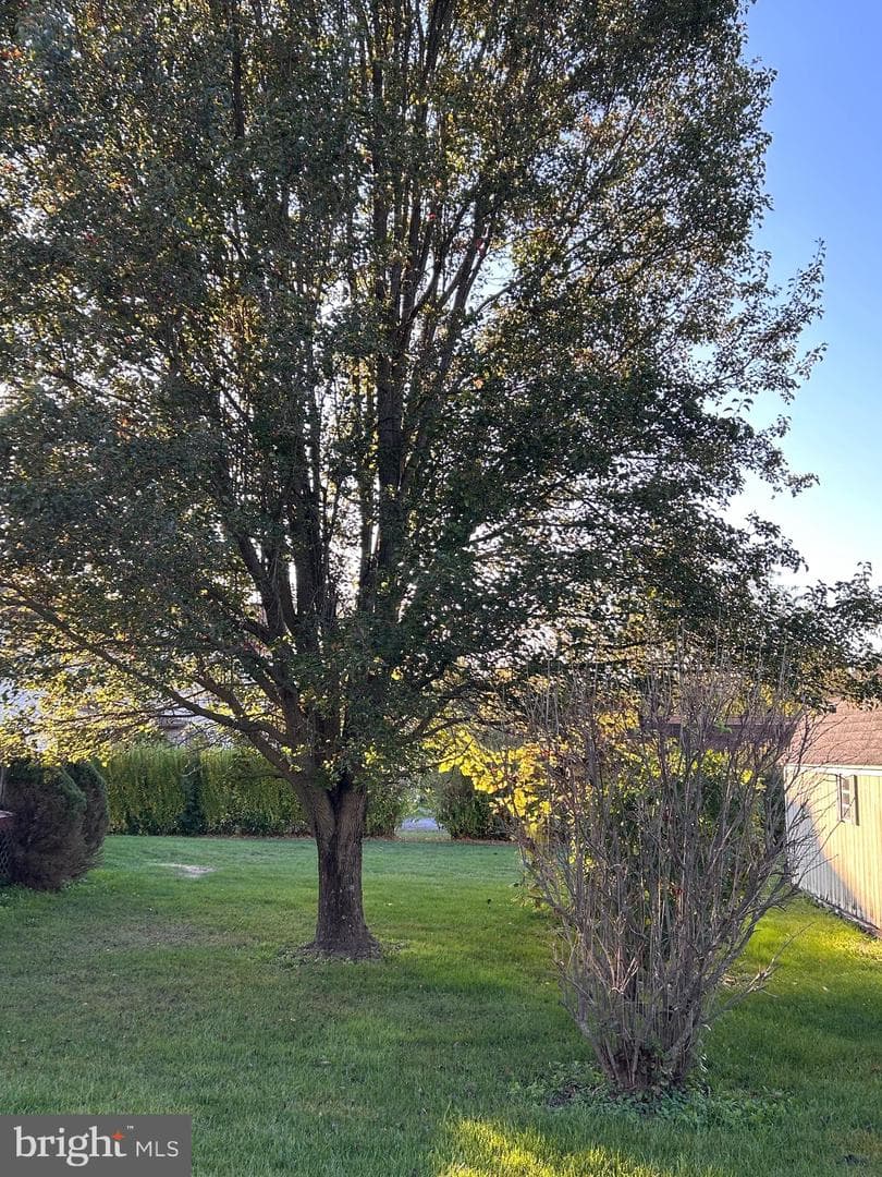 106 Mountain Avenue photo 31