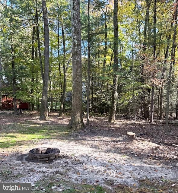 181 Lutz Lane photo 6