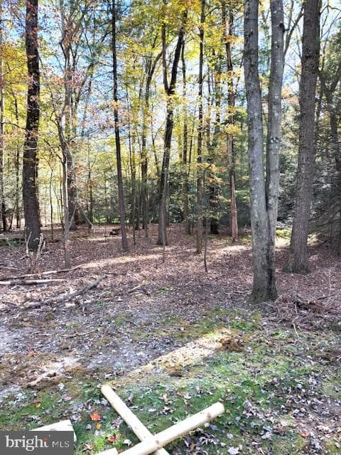 181 Lutz Lane photo 9