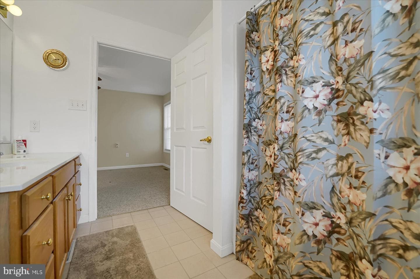 100 Forest Glen Circle photo 19