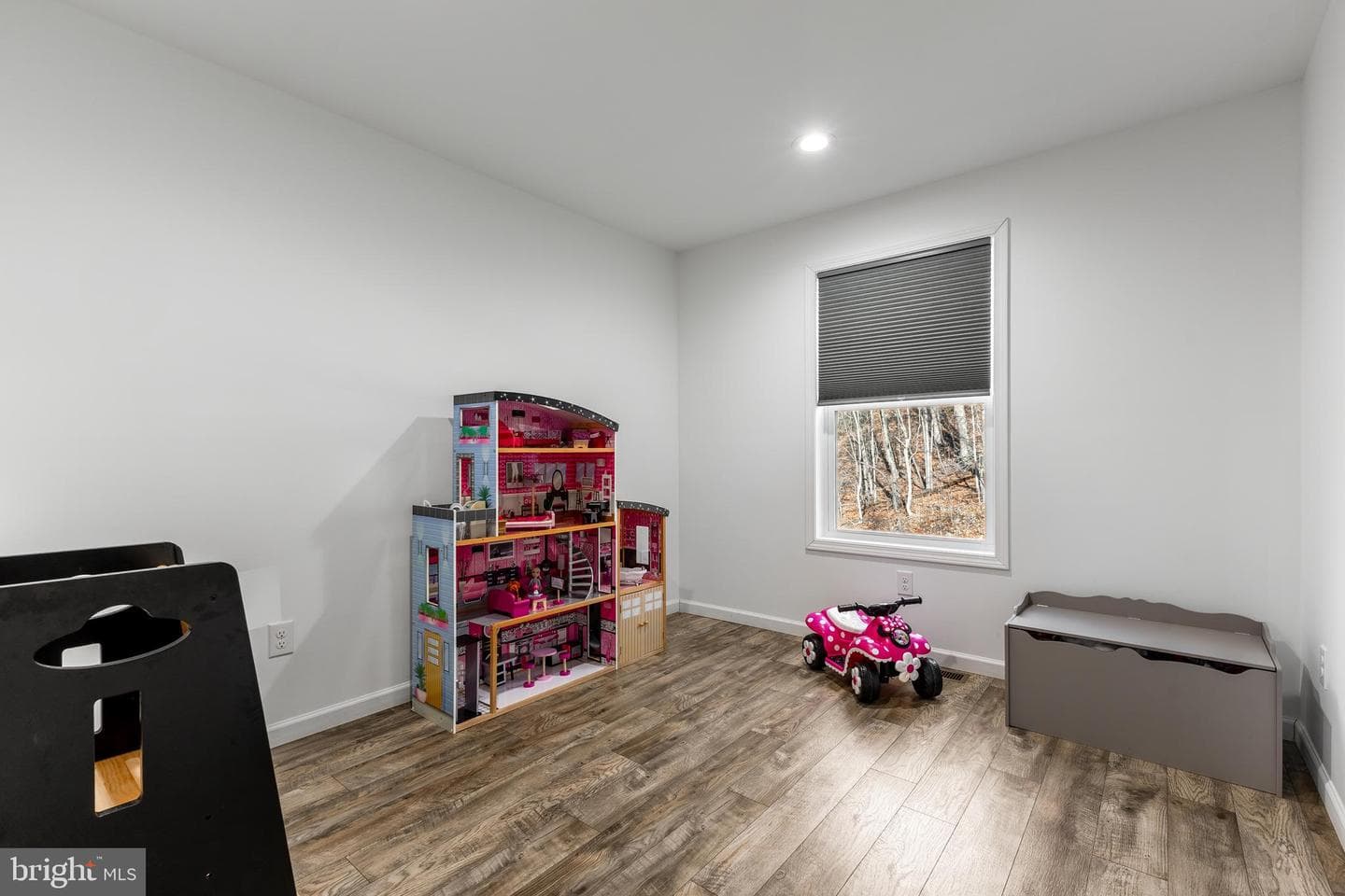 396 Whetstone Run photo 21