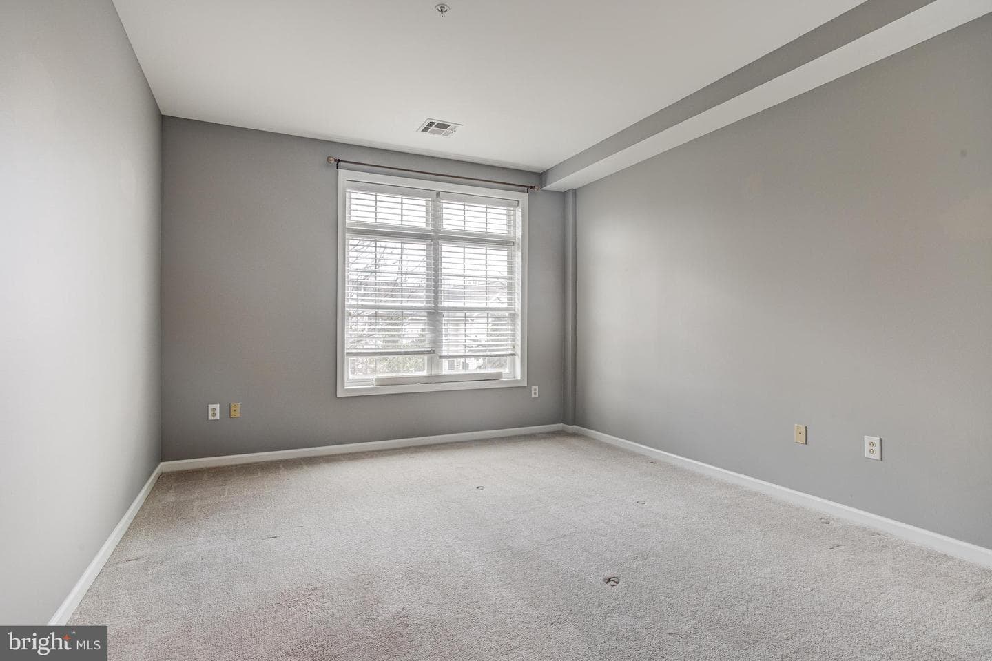 200 Jefferson Avenue #224 photo 18