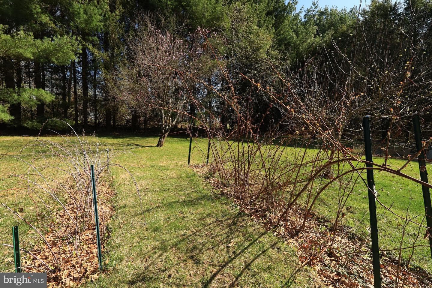 519 Kristina Circle photo 84