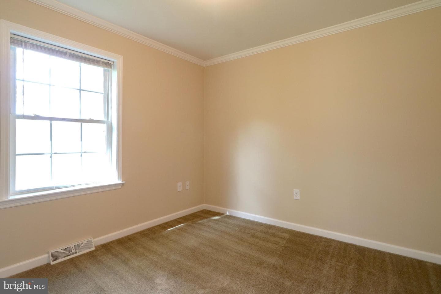 298 Timberwood Trail photo 34