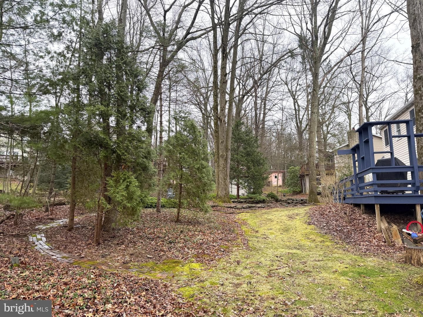 207 Canterbury Drive photo 45