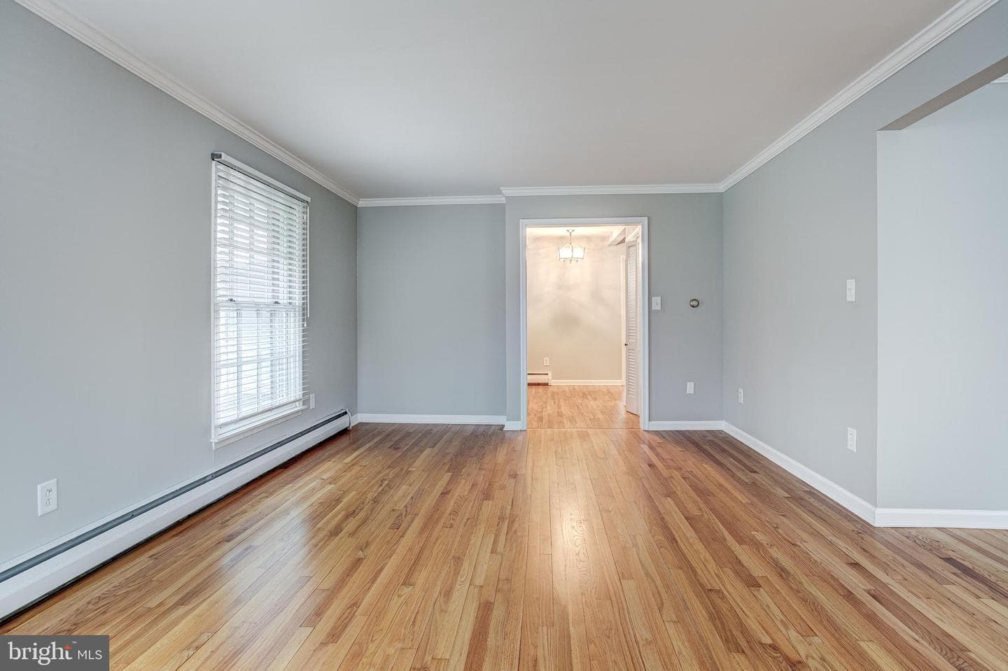 507 Shannon Lane photo 19