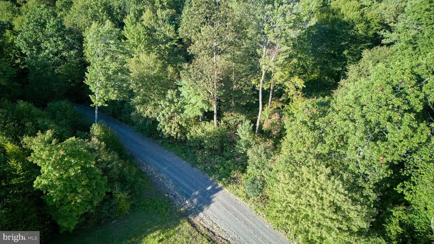 800 High Pines Lane photo 19