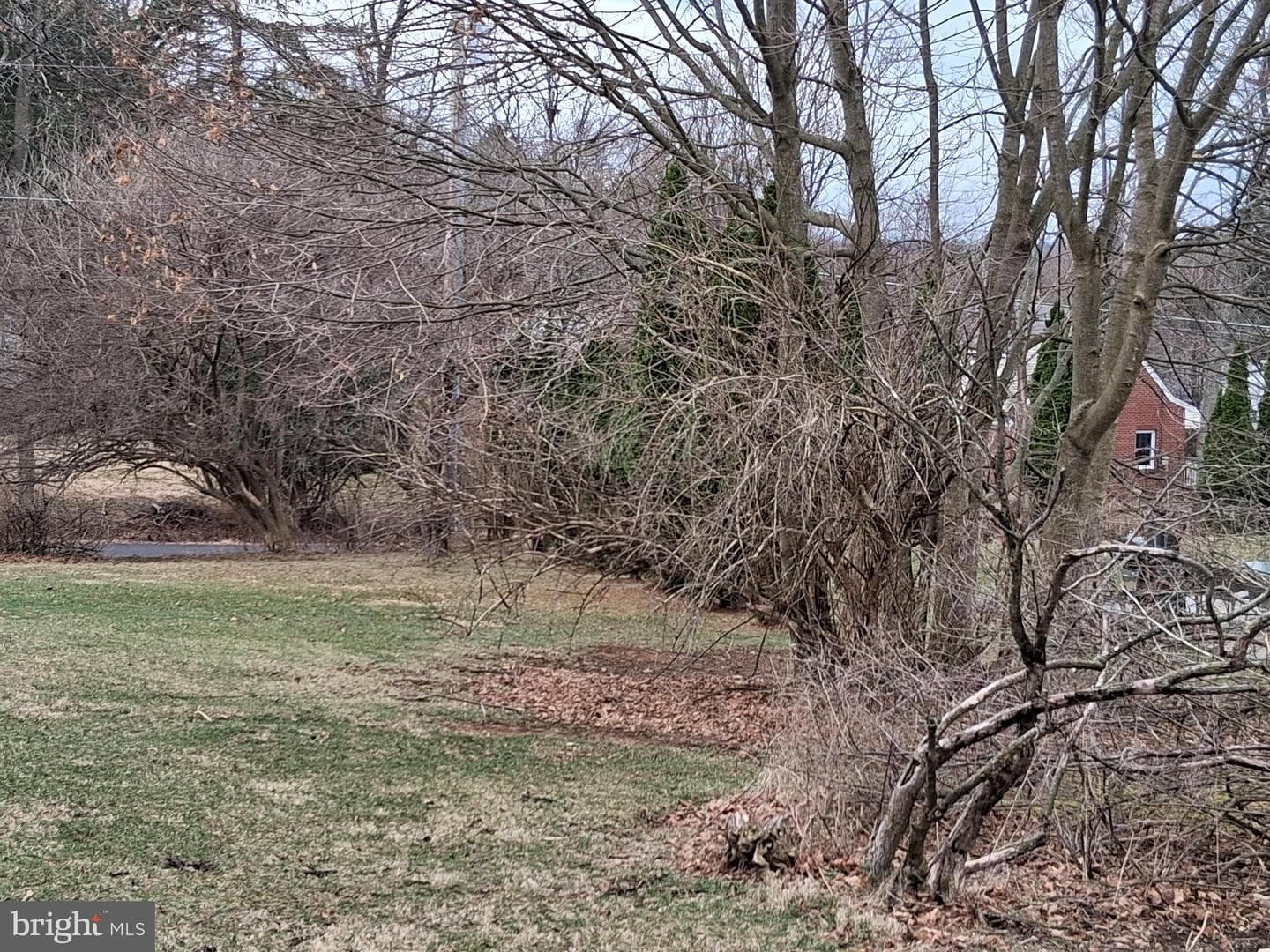 181 Mount Nittany Road photo 35