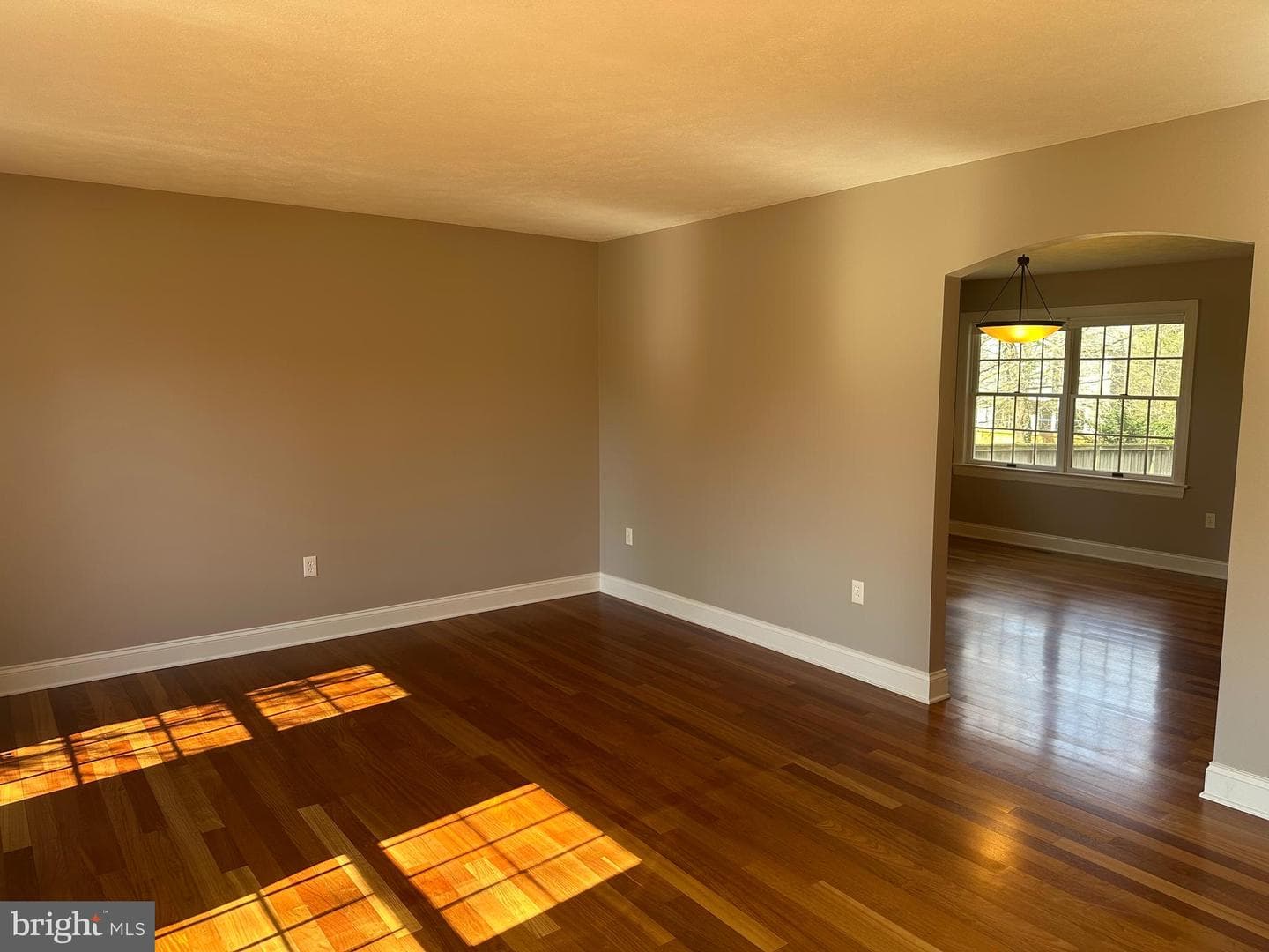 1007 Amelia Ave. photo 20