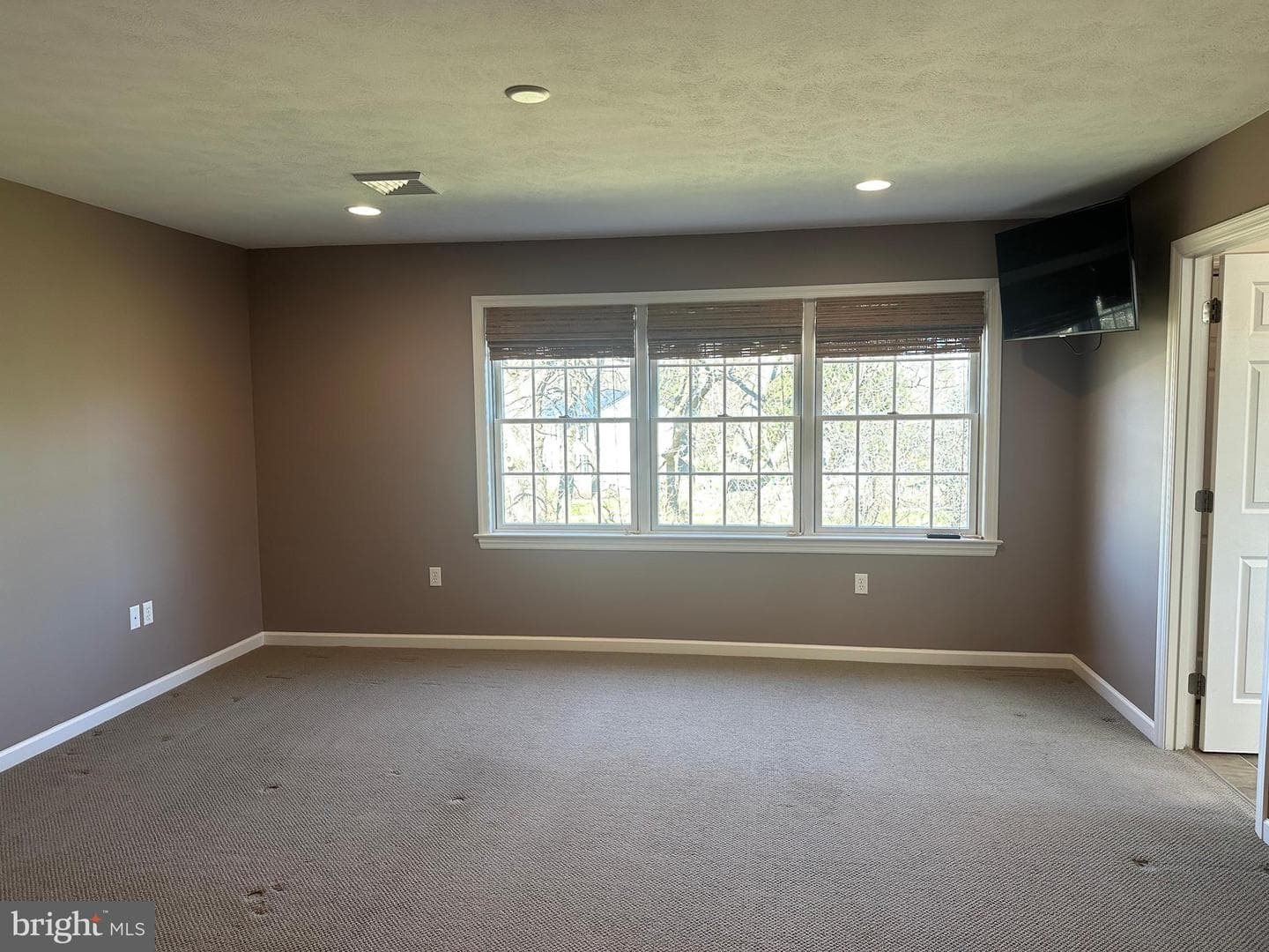 1007 Amelia Ave. photo 34