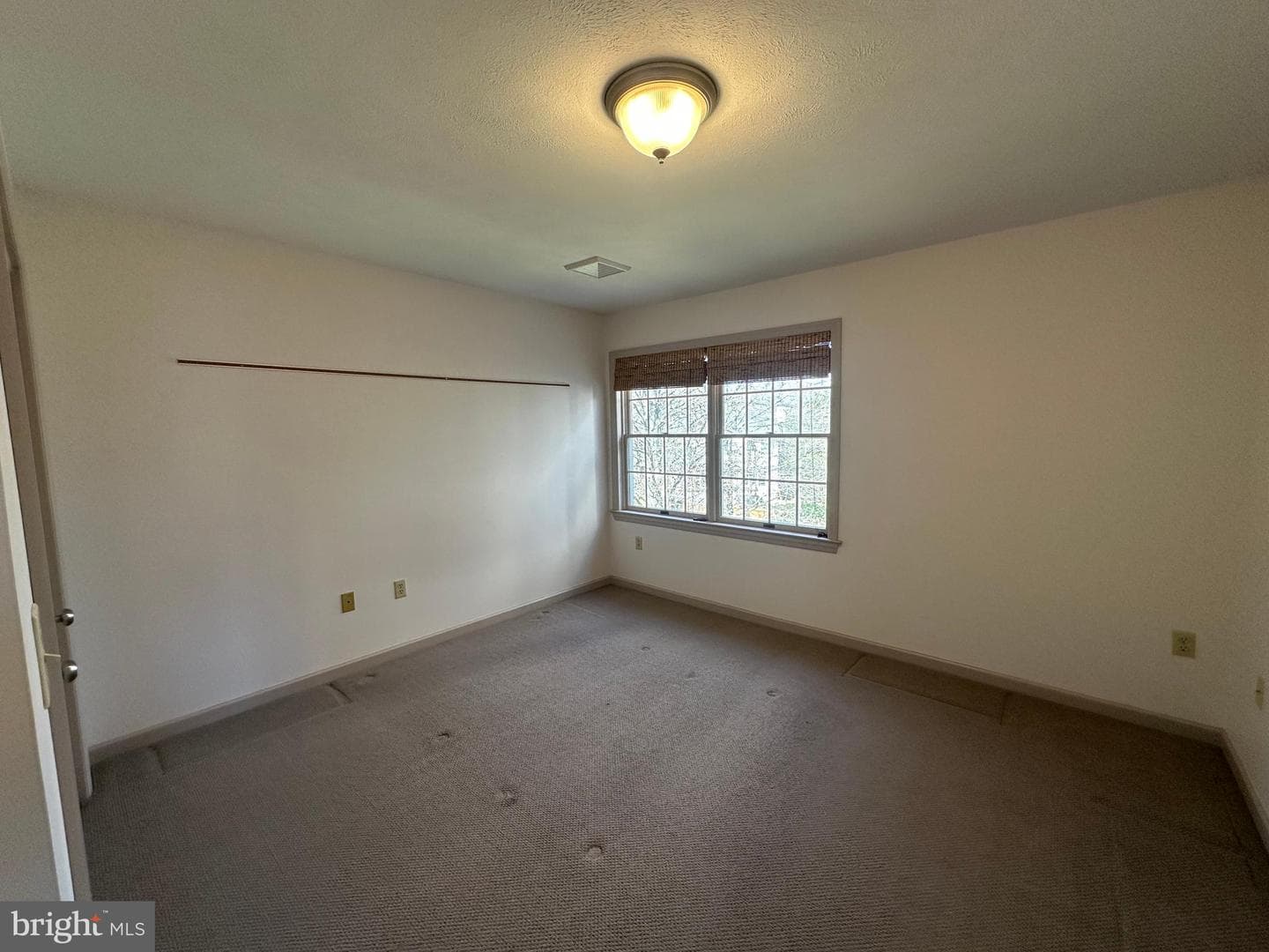 1007 Amelia Ave. photo 44