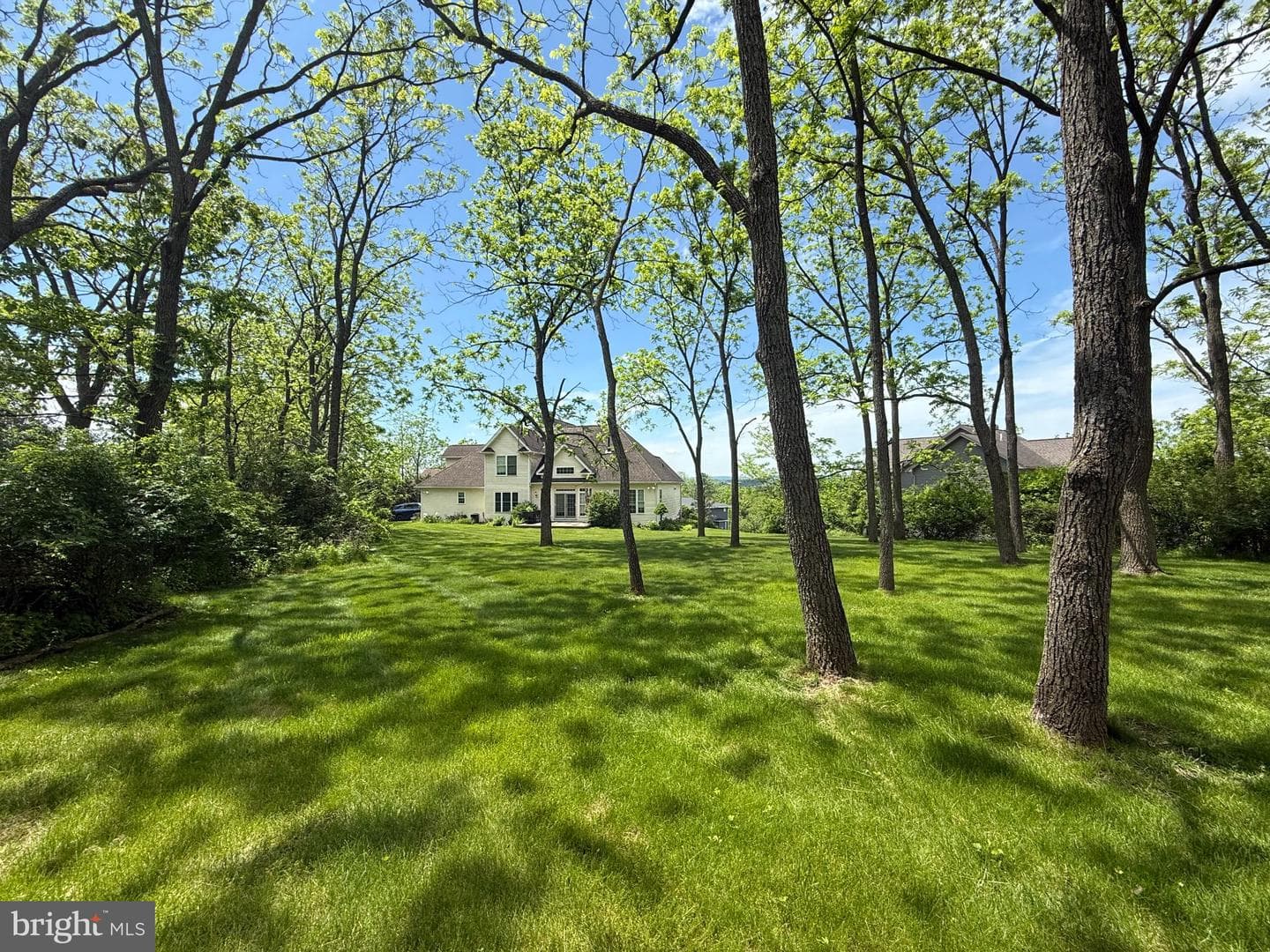 248 Ivy Hill Drive photo 16