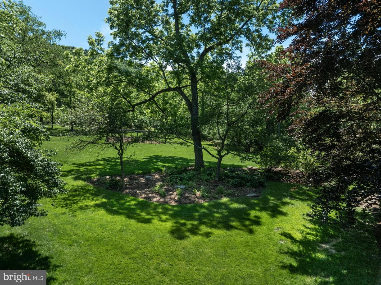 602 Windmill Road photo 17
