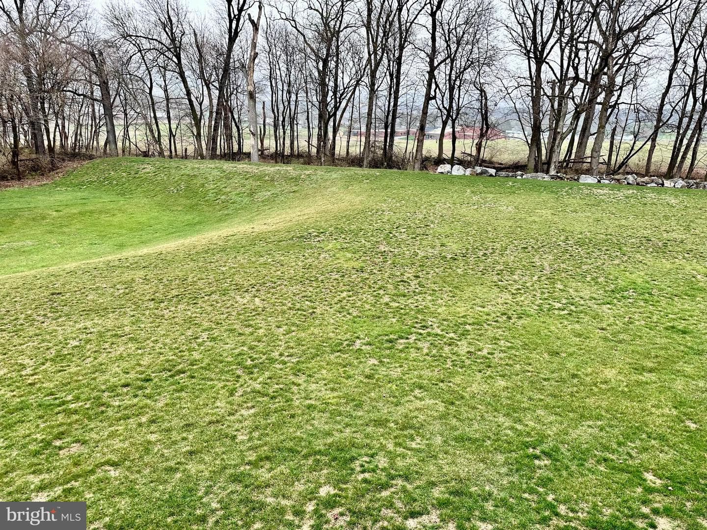 189 Bilberry Circle photo 43