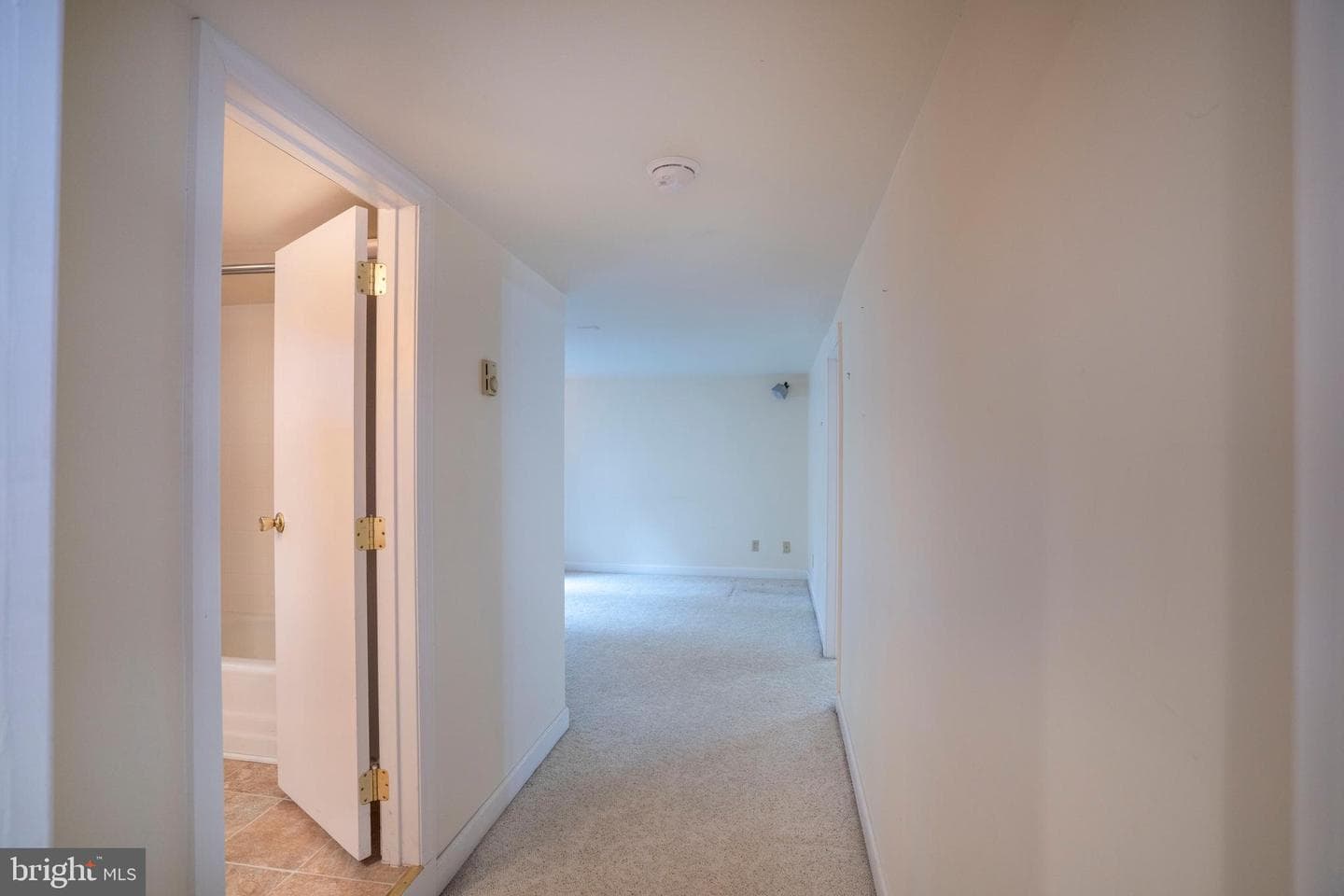 418 Martin Terrace photo 41