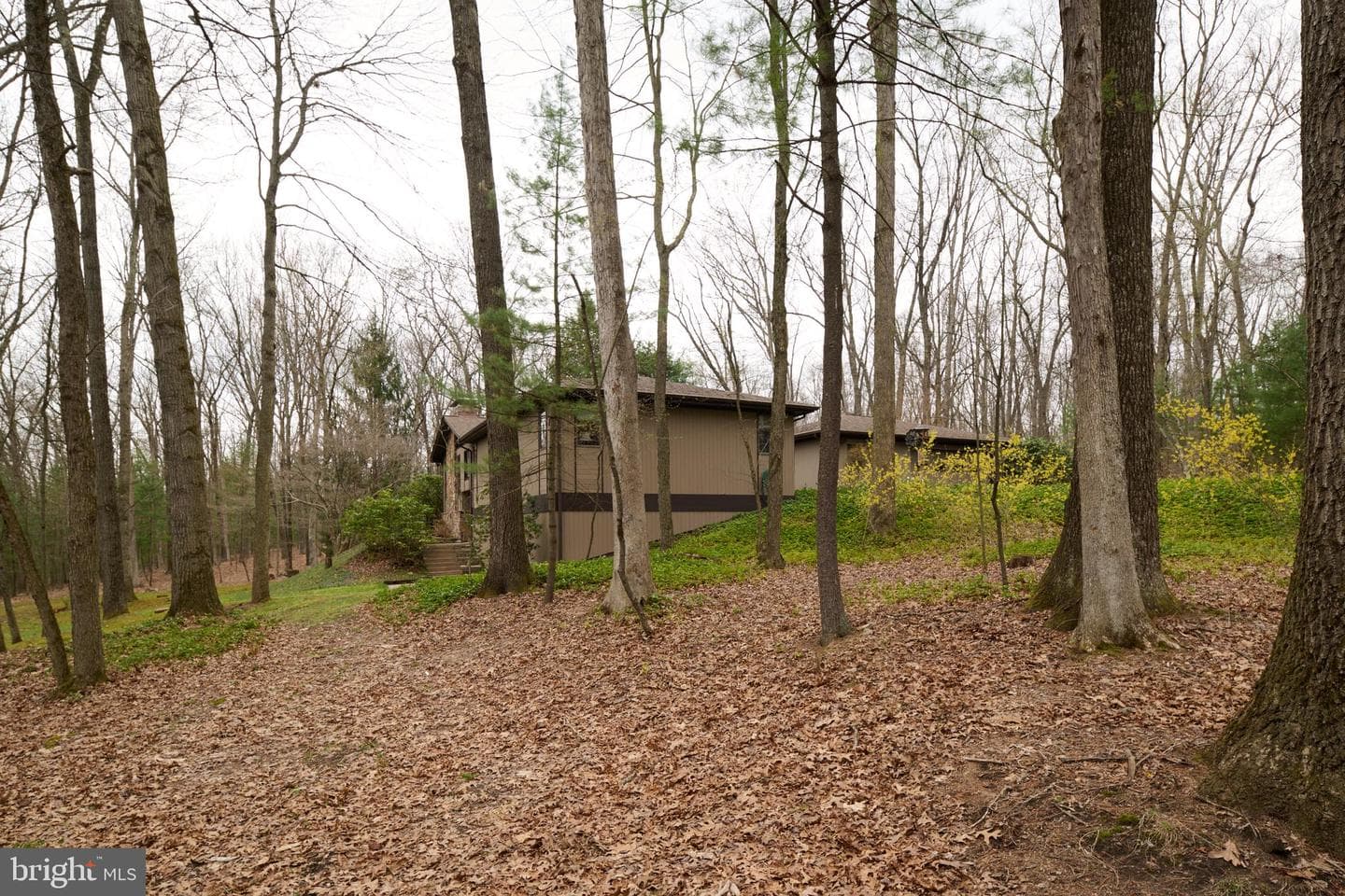 576 E Shadow Lane photo 100