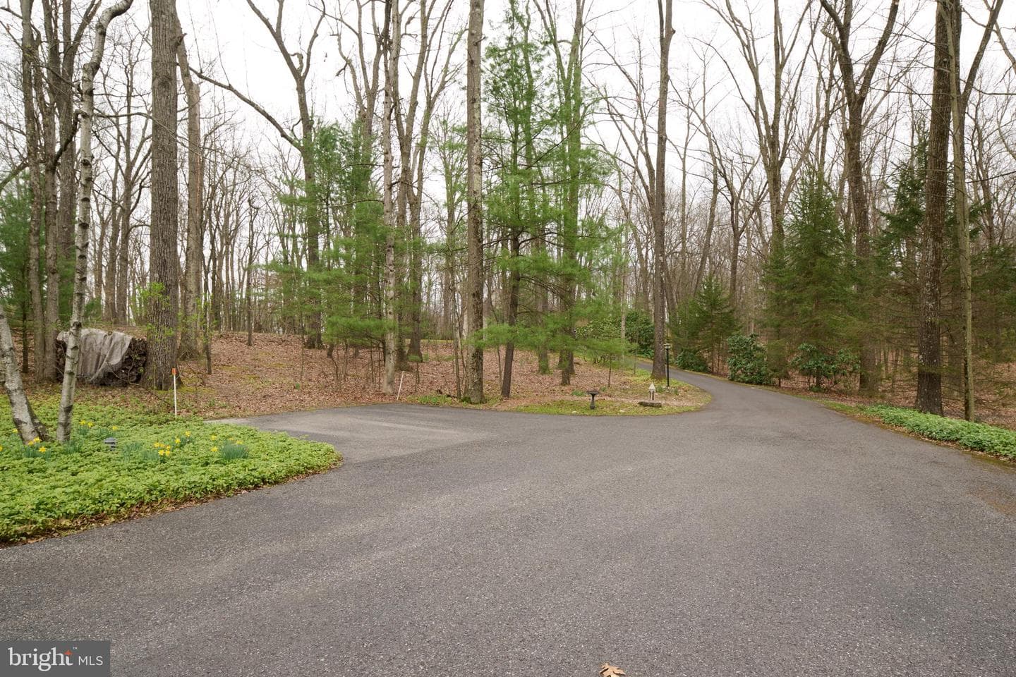 576 E Shadow Lane photo 107