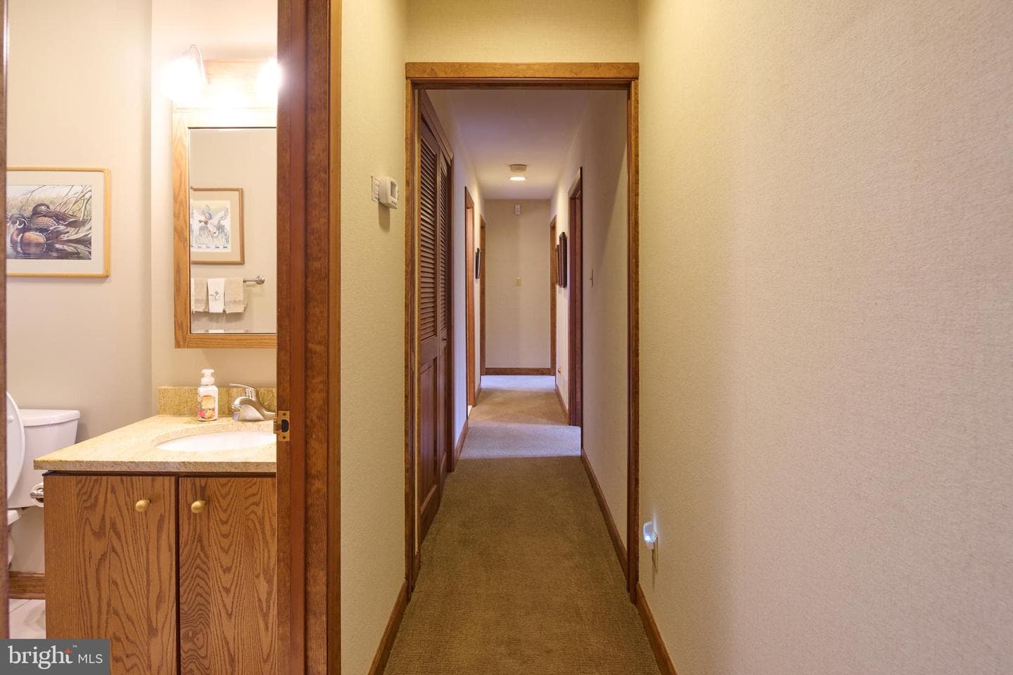 576 E Shadow Lane photo 40