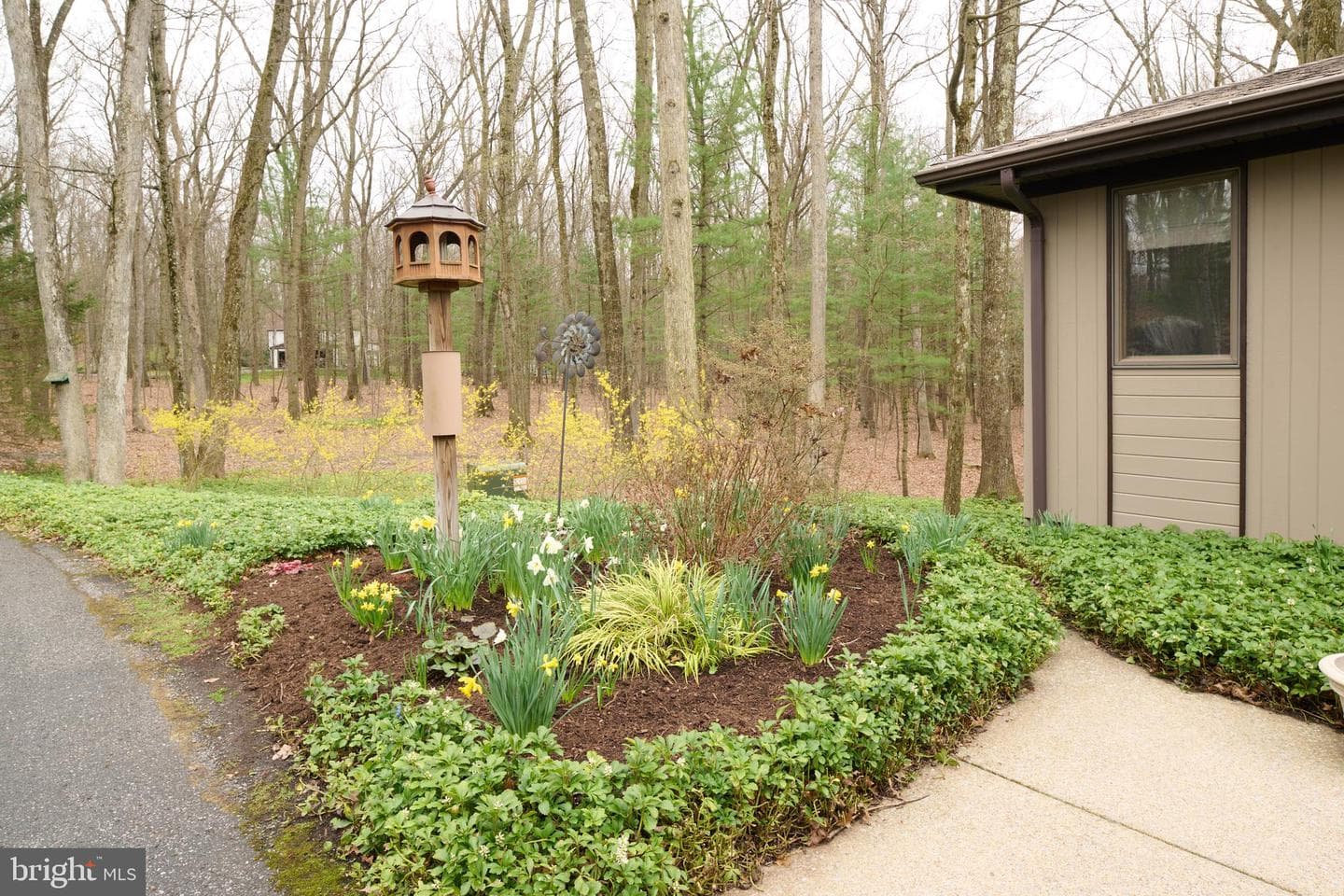 576 E Shadow Lane photo 86