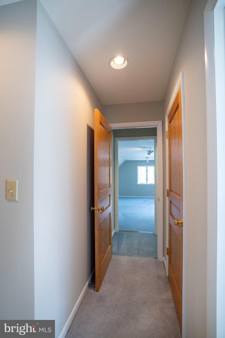 201 Tussey Terrace Circle photo 52