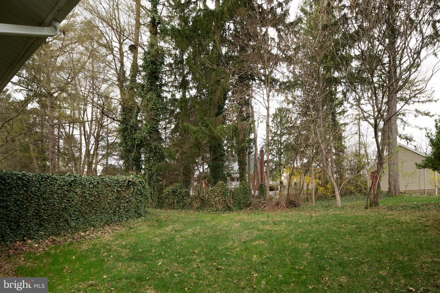 327 Fry Drive photo 44