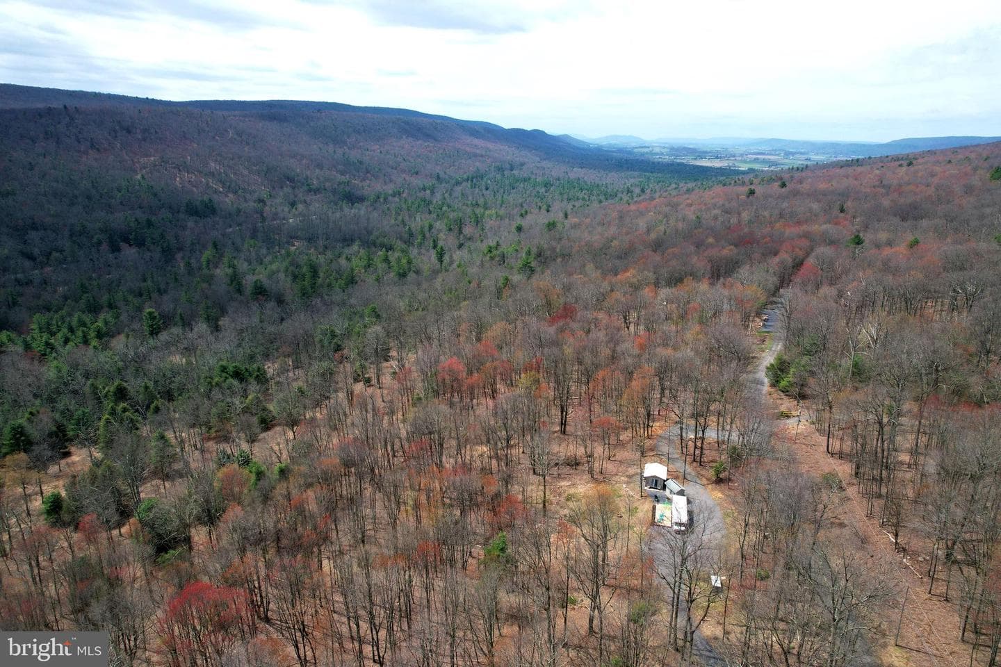 263 White Tail Road photo 36