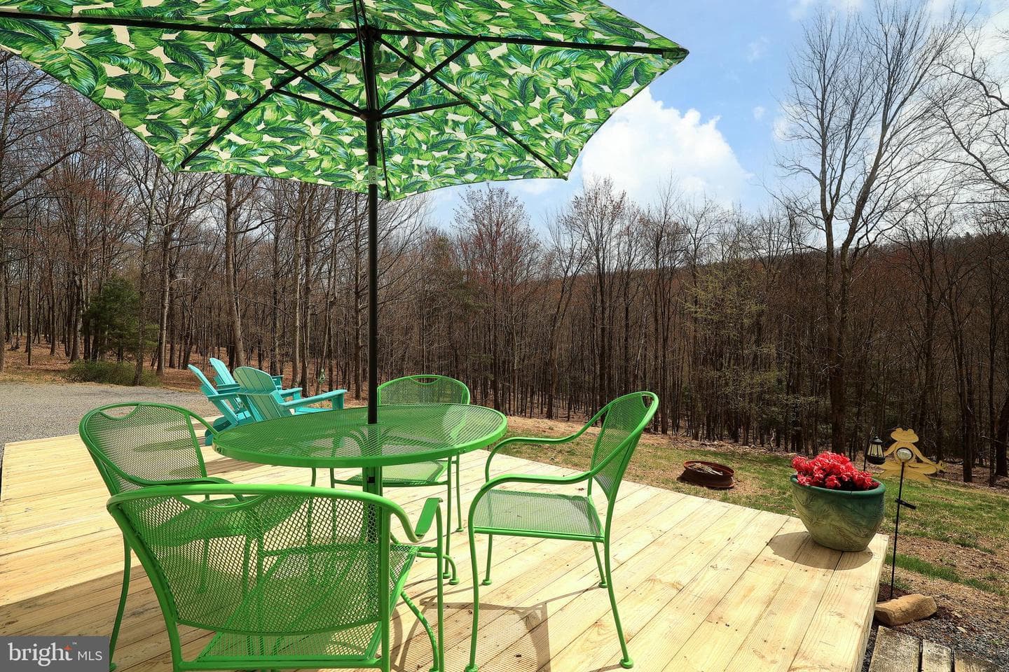 263 White Tail Road photo 4