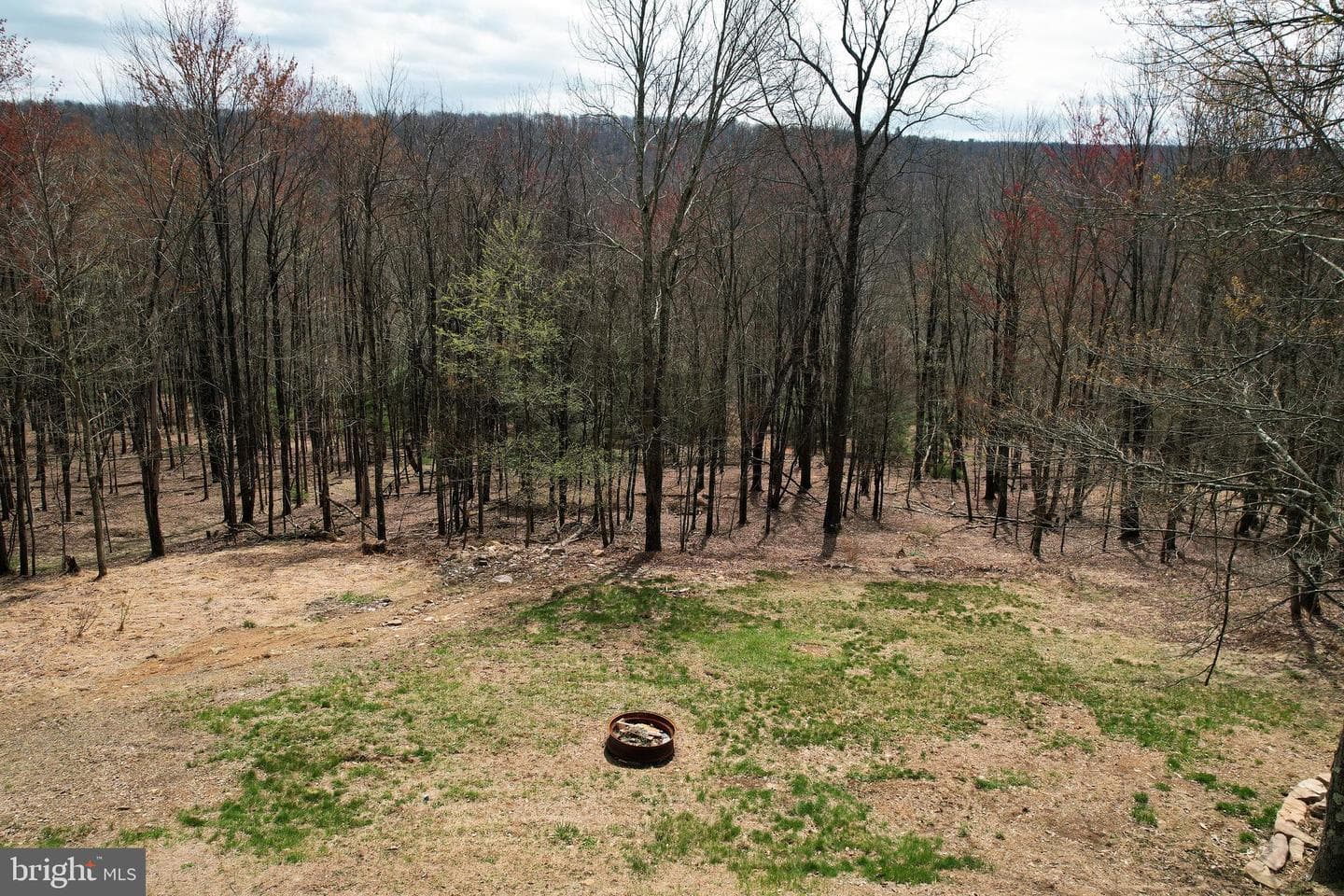 263 White Tail Road photo 41