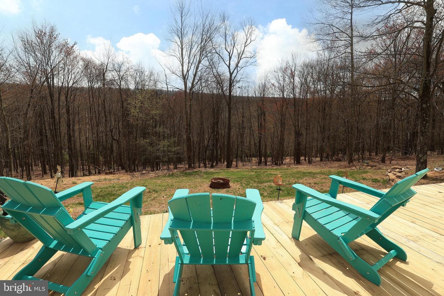 263 White Tail Road photo 45