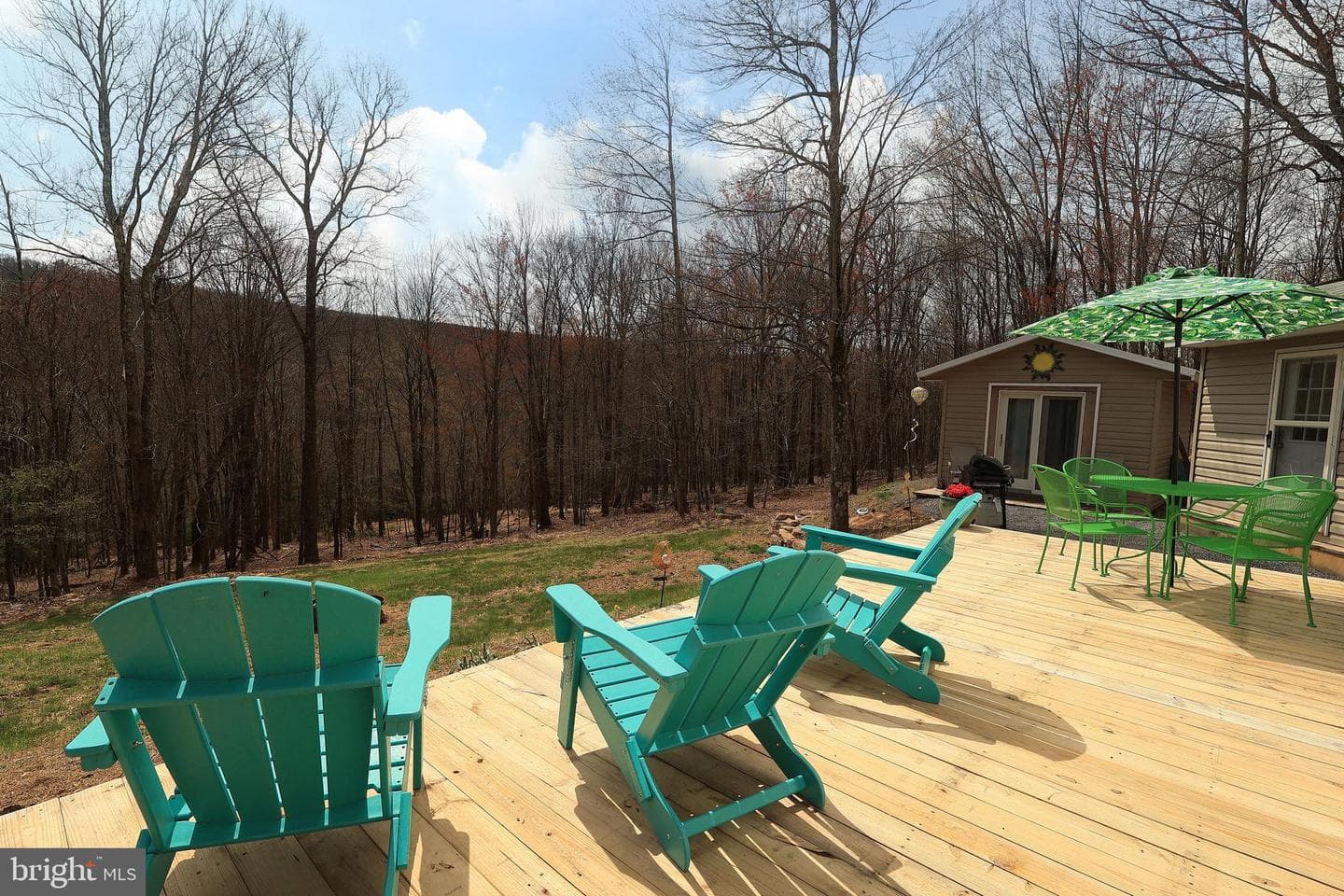 263 White Tail Road photo 5