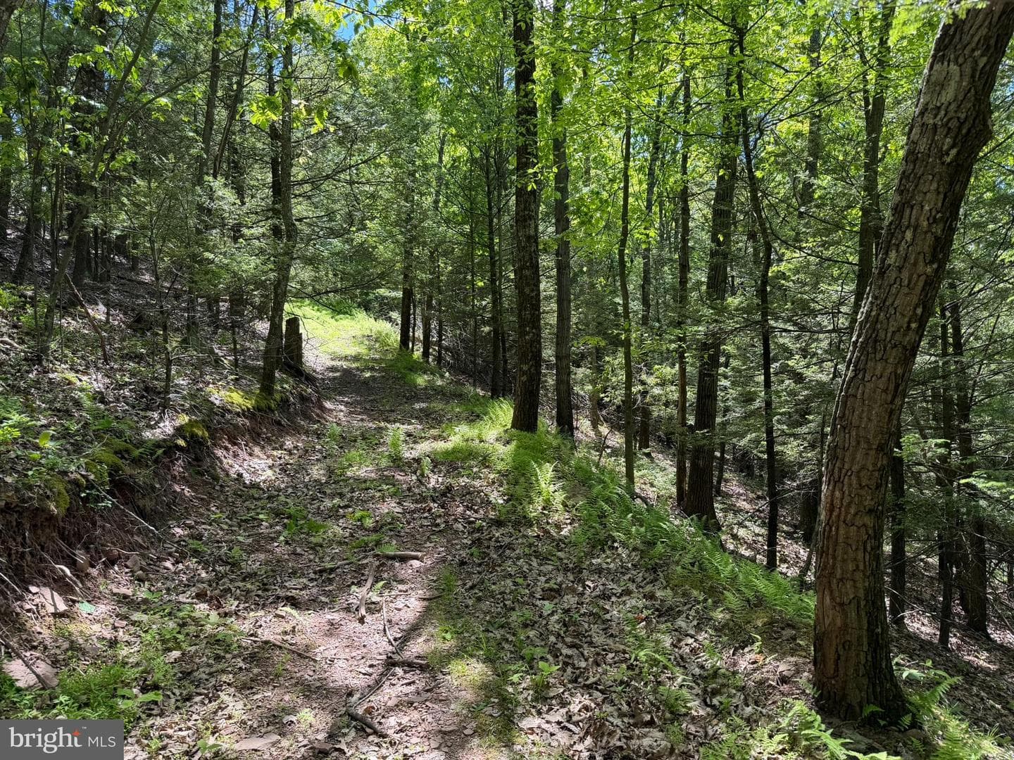 580 Fairview Road photo 10