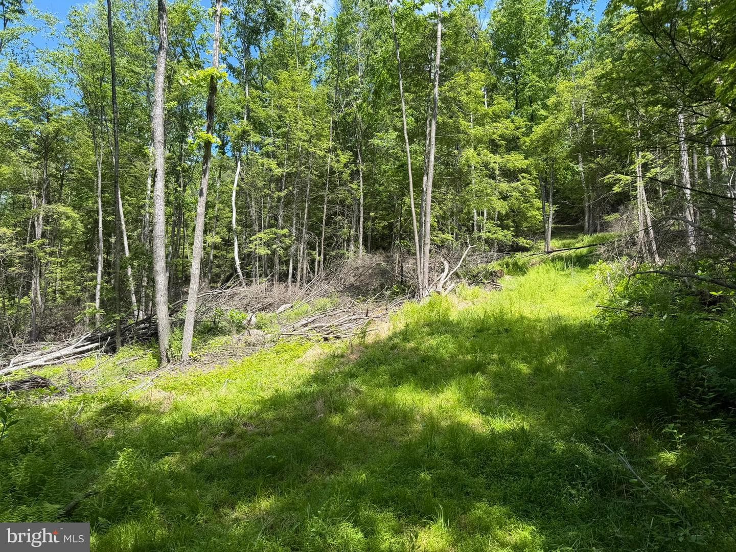 580 Fairview Road photo 11
