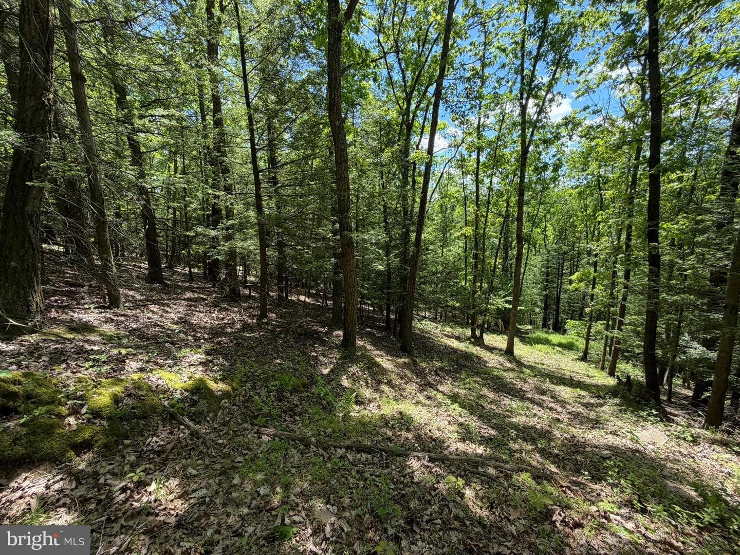 580 Fairview Road photo 12