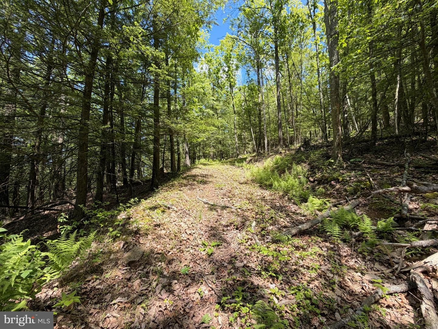 580 Fairview Road photo 13