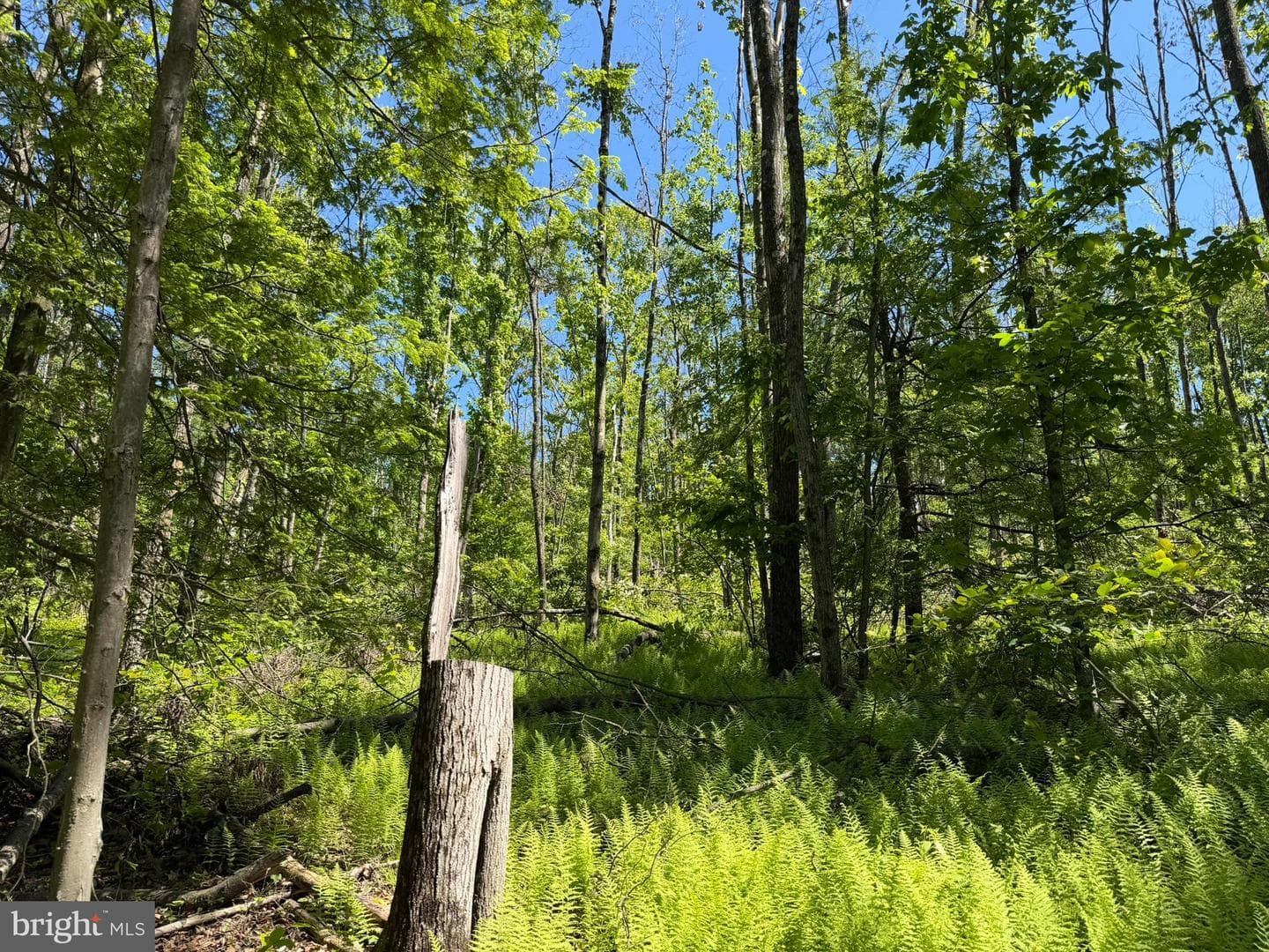580 Fairview Road photo 14