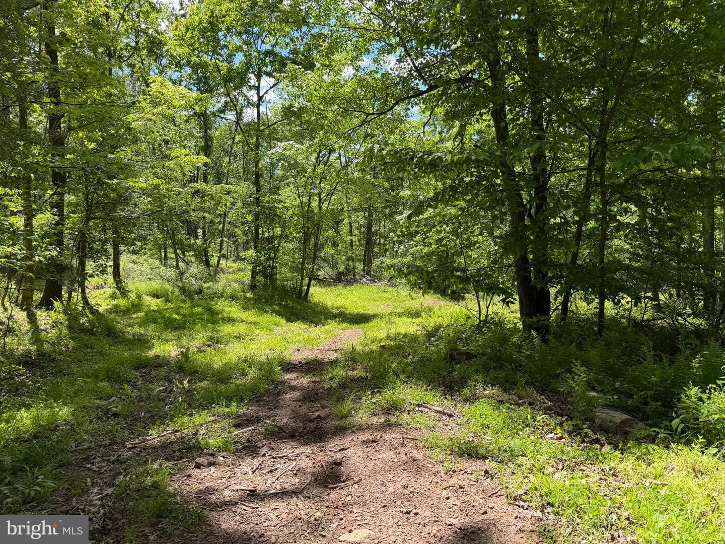 580 Fairview Road photo 15