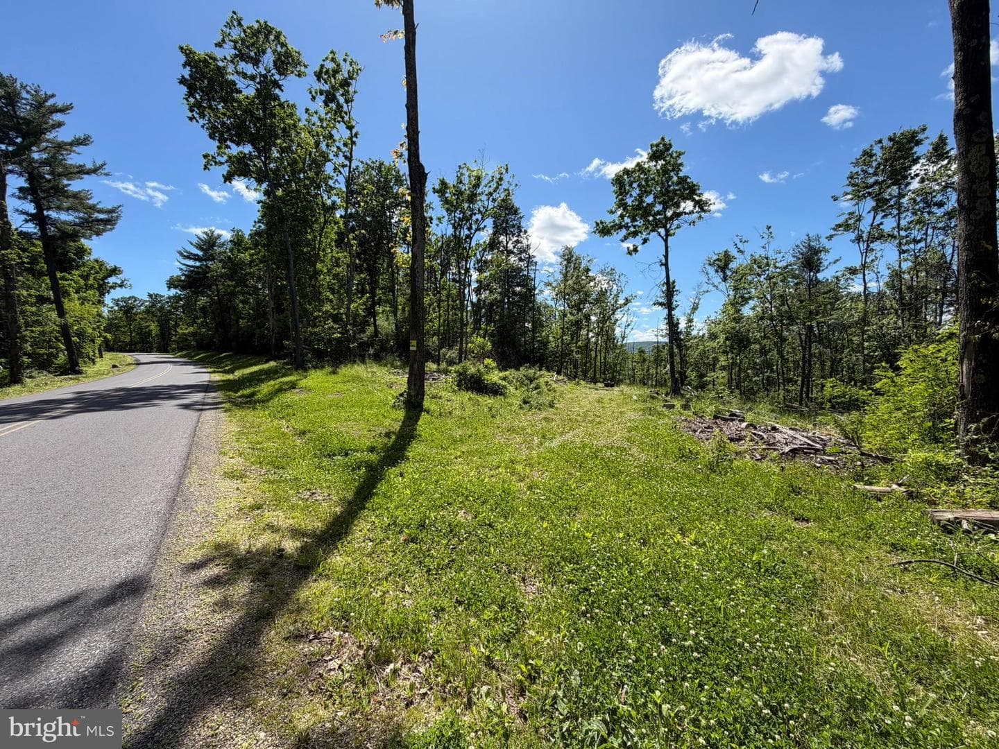 580 Fairview Road photo 22