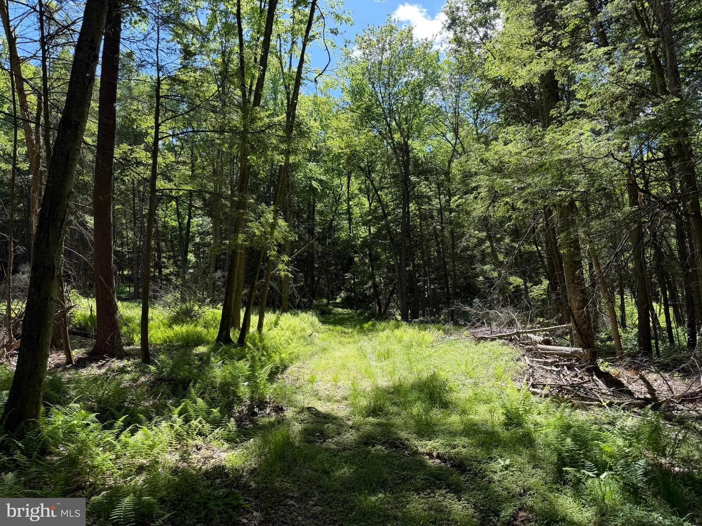 580 Fairview Road photo 23