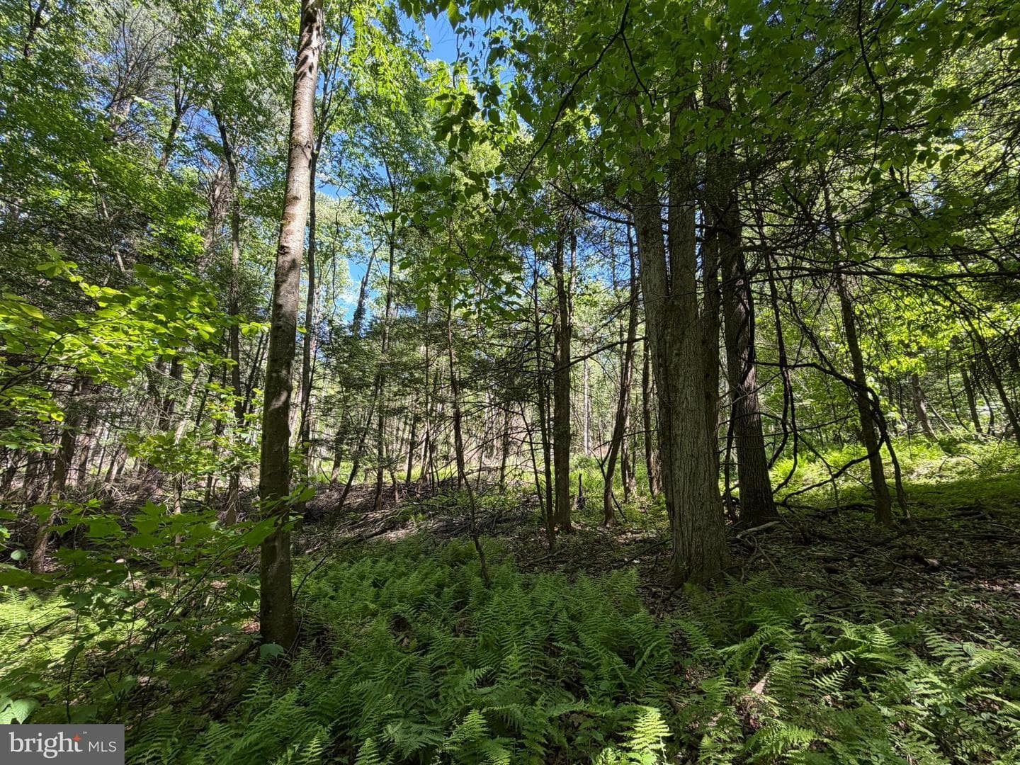 580 Fairview Road photo 24