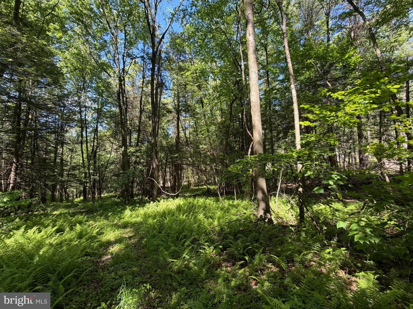 580 Fairview Road photo 25