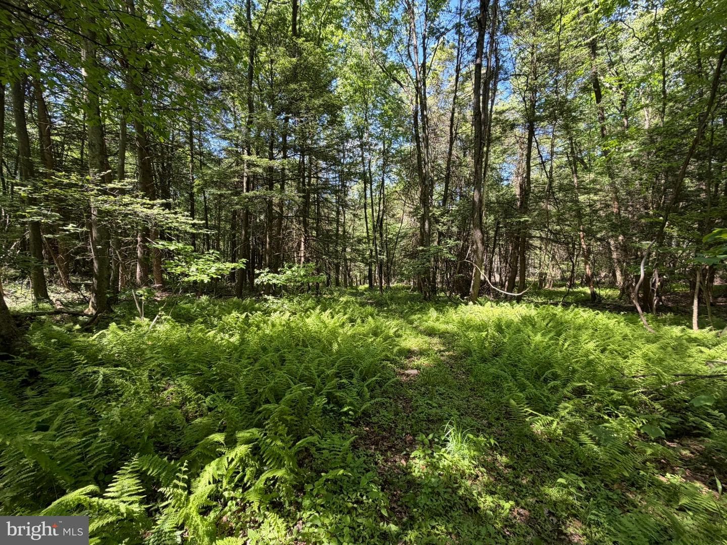 580 Fairview Road photo 26