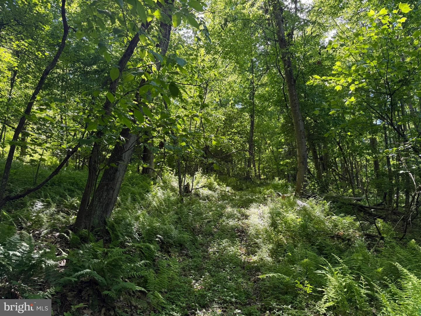 580 Fairview Road photo 27