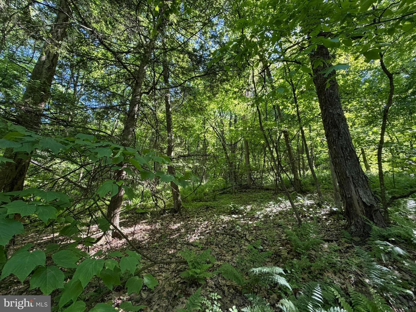 580 Fairview Road photo 28